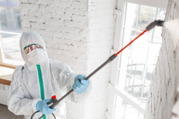 Professional Mold Removal in Linden, TN